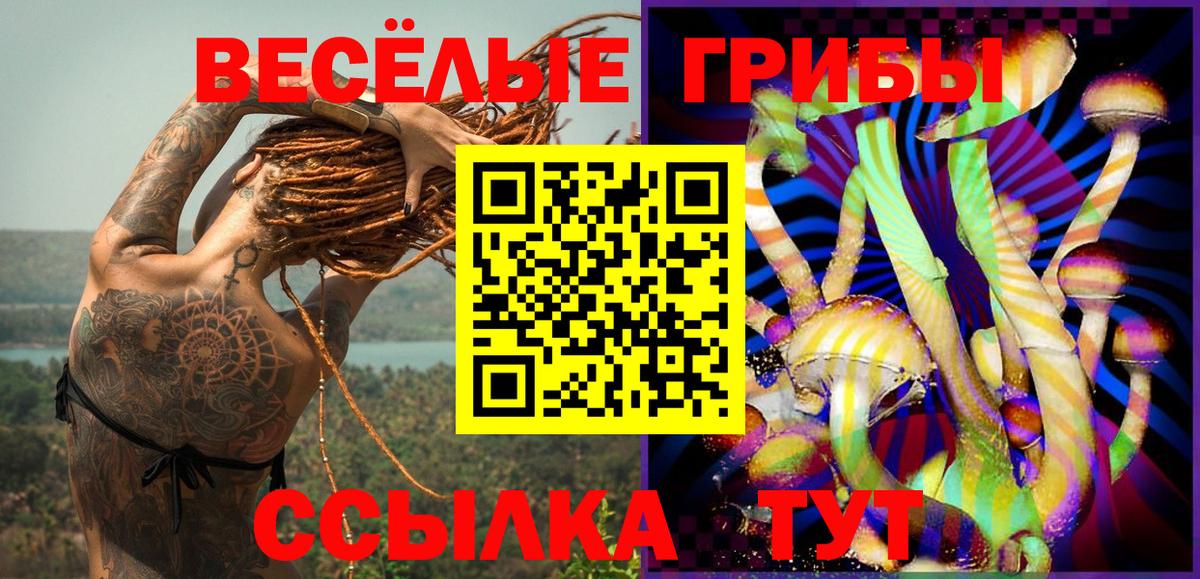 Янаул  Галлюциногенные грибы прущие грибы  Вход с VPN 