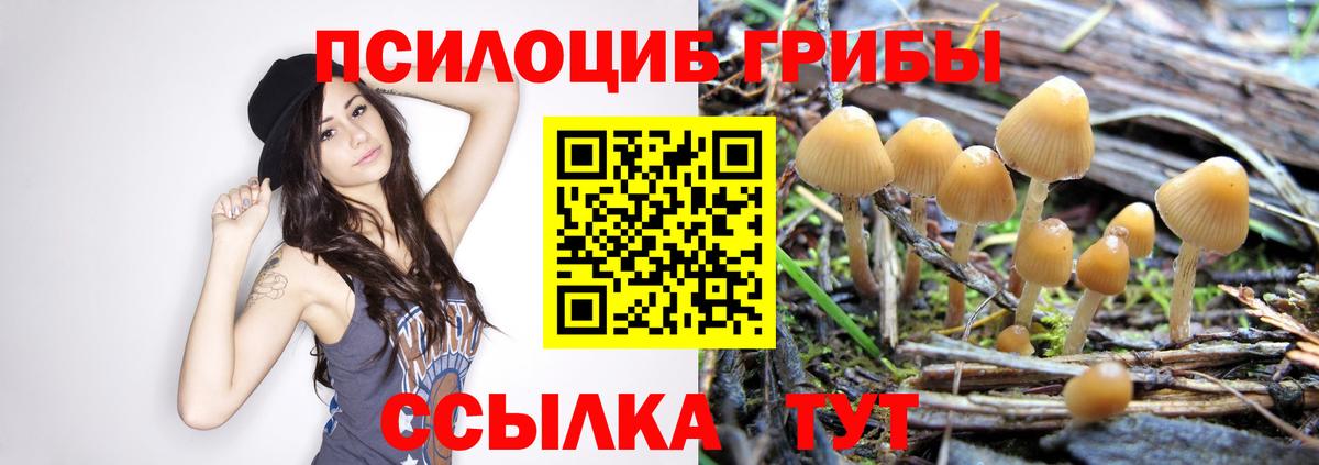 Галлюциногенные грибы прущие грибы Янаул